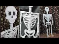3-D skeleton model with cardboard sheet