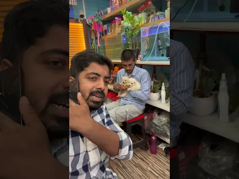 Dog funny video. Pomtoy Anurag pet shop, Samastipur, Bihar, #dog #doglover #sonpurmela #animallover