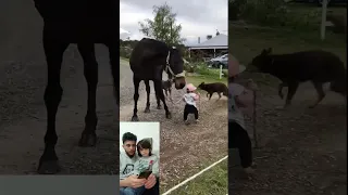 بنت صغيرة تقود حصان سبحان الله ماشاء الله 