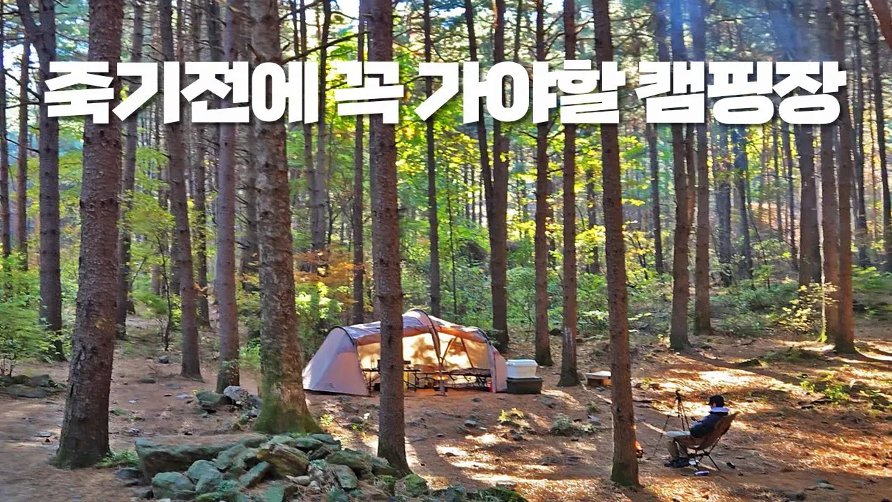 이런 캠핑장이 곧 문 닫는다고 합니다.ㅠㅠ 꼭! 끝까지 보세요. 잣나무를 품은 팔현캠프 리뷰 썸네일