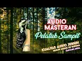 Download Lagu #6 Audio Masteran Pelatuk Sampit/Beras + Jeda + Suara Gemricik Air Jernih