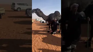 ماشاءالله تبارك الرحمن ماشاءالله المالك ابن خجيم المري 