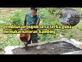 Lagu proses pembuatan pupuk urea dari kotoran kambing