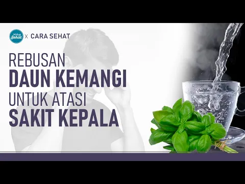 Rebusan Daun Kemangi Atasi Sakit Kepala, Begini Cara Buatnya