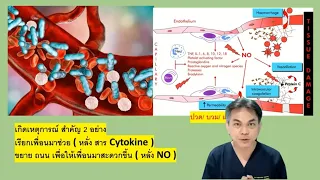 การติดเชื้อในกระแสเลือด ทําไมถึงทําให้เสียชีวิตได้