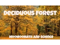 Temperate Deciduous Forest-World Biomes