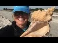 Sanibel s Storm Of Beach Bling