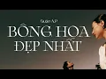 Download Lagu Bông Hoa Đẹp Nhất - Quân A.P | Vì em không yêu anh như anh yêu em
