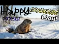 Happy Groundhog Day