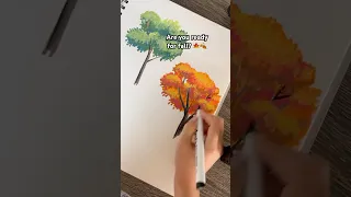 Drawing Maple Tree