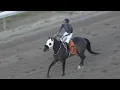 RACE 7 Louisiana Downs USA - 03 AUG 2026