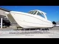 New WorldCat 32 DC Dual Console is amazing