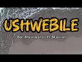 Download Lagu Ushwebile-Navigator ft Mjolisi (Full Lyrics)