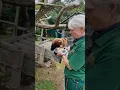 Red Panda Trail 6 - Red Panda Diet