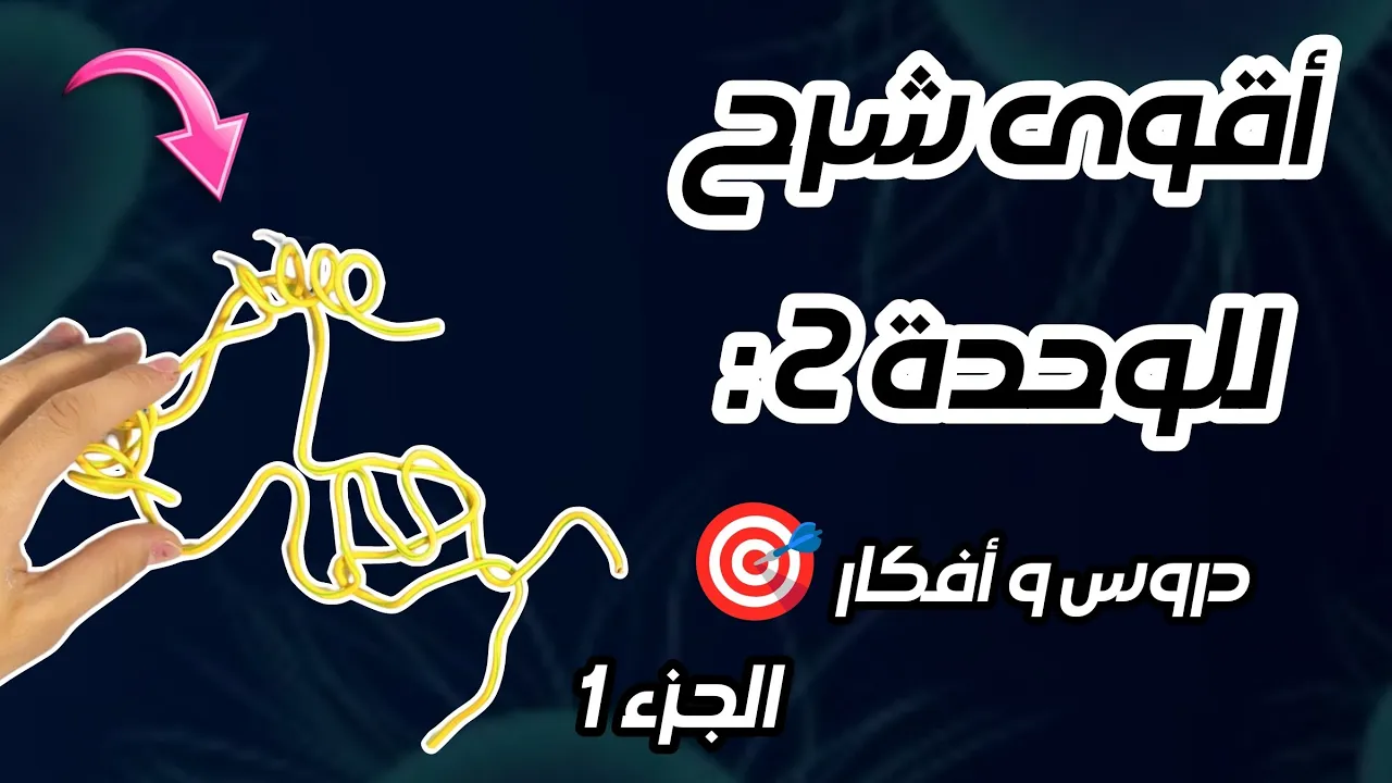 دروس و أفكار الوحدة 2 🧩 العلاقة بين بنية البروتين و وظيفته ( الجزء الأول ) .