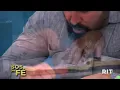 Download Lagu SOS da Fé - 18/06/25