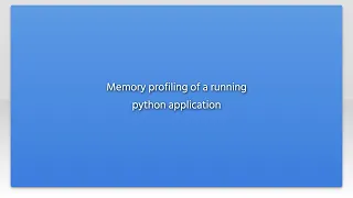 Memory profiling of a running python application