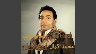               دندنها