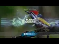 Download Lagu MASTERAN PELATUK BAWANG GACOR SPEED RAPAT DURASI PANJANG 1JAM NON STOP