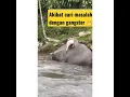 Download Lagu DETIK DETIK KEJADIAN MEMILUKAN