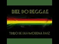 Tribo de Jah-morena raiz