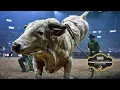 2023 PBR Teams Championship Final Day Recap