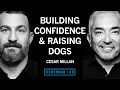 Raising a Dog Mastering Calm Assertive Energy Cesar Millan