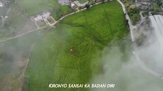 Download Patah Bacinto - Boy Sandy ( ADIM MF COVER) - Lirik Drone Video MP3