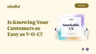 Download Is Knowing Your Customers as Easy as V-O-C | Snackable CX, Ep. 30 MP3