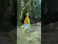 Download Lagu Dame tu cosita #humor #comedia