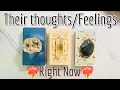 Their Current thoughts and Feelings for you Pick a Card Tarot reading