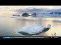 Download Lagu Researchers Believe 'Heat Bombs' Are Causing Warmer Waters To Seep Into Arctic Ocean