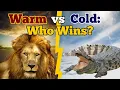 Warm-Blooded vs Cold-Blooded The Ultimate Survival Battle