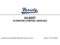 Gilbert Scorpion Control Services by Varsity