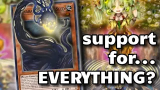 RAGNARAIKA - Ten Minute Testing