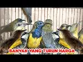 Download Lagu BANYAK YANG TURUN HARGA 