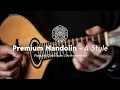 Download Lagu The New McNeela Premium Mandolin with Conor Lyons of The Bonny Men