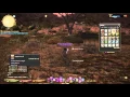 FINAL FANTASY XIV How To Farm Aldgoat Skin Horns and Chunks