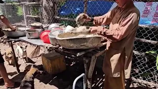 Sư Cô đi khất thực nuôi gần 100 chú chó mồ côi 