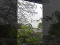 Typhoon Uwan #shortvideo #typhoon #bagyo