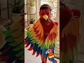 Download Lagu Fancy Dress Competition|Bird |how to make wings #fancydresscompetition