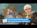 Download Lagu Apakah Menggendong Kucing Menyebabkan Najis Berpindah? | Buya Yahya Menjawab