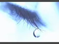 Love Is Blind _ JANIS IAN