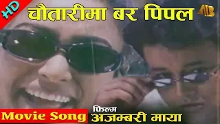 chautarima barpipal ajambari maya movie song uttam pradhan ab pictures farm b g dali