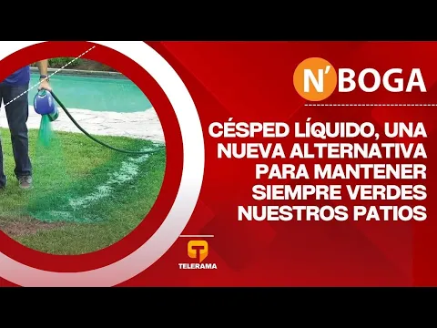 Césped líquido, una nueva alternativa para mantener siempre verdes nuestros patios