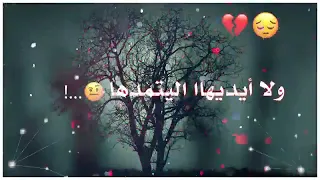 سيف عامر تخيل شجره بيها أوراق حالات واتس آب حزينه 