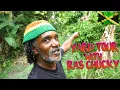 Download Lagu Yard Tour with Rasta Chucky
