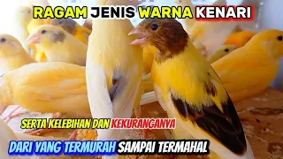 various types of canary colors prices and their advantages and disadvantages