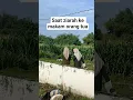 Download Lagu saat ziarah ke makam orang tua