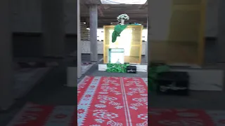 مرقد العلوية هيله بنت الإمام موسى بن جعفر الكاظم عليه السلام 